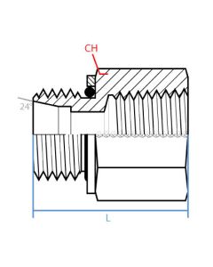 Male Din (Sealed) X Female Npt