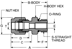 Stainless Steel Duolok Tube Fittings, Tube To Male SAE O-Ring Boss (Straight Thread O-Ring), Straight