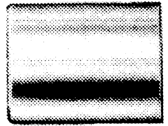 Steel Flat Crimp Socket For Use With FC363, FC364, FC563 Hose