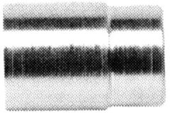 Stainless Steel Crimp Sockets For Use With SC Hose