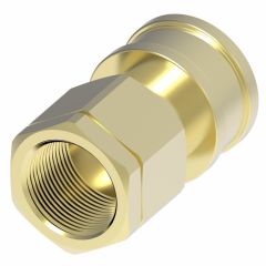 Cplng, HK SERIESFEMALE, BRASS