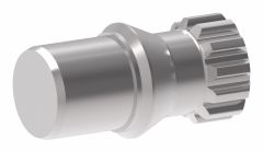 Char-LynnEnd LOWER SPLINE