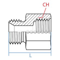 Male Bspp X Female O-Ring Boss