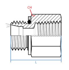 Male Din (Sealed) X Female Npt