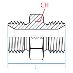 Male Bspp X Male Metric