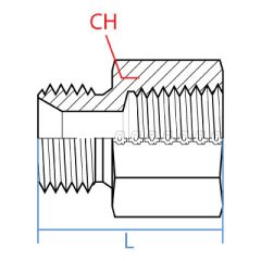 Male Bspp X Female Bspt