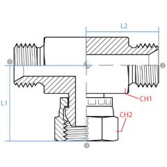 Female Bspp Branch Tee
