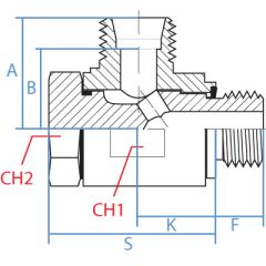 Sdin Banjo X Mbspp-Es Seals