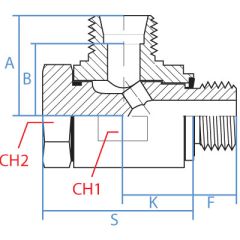 Ldin Banjo X Metric-Es Seals
