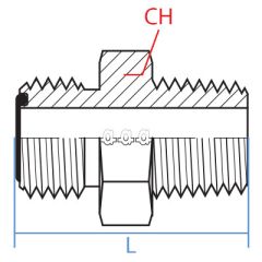 Male Orfs X Male Bspt Short