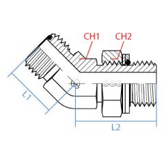 45* Male Orfs X Mbspp Adj. Elb