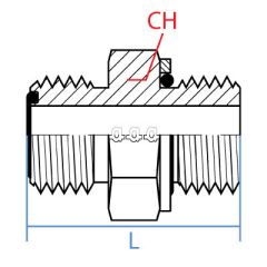 Male Orfs X Male Metric Sealed