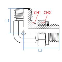 90*Male Orfs X Mmetric Adj Elb