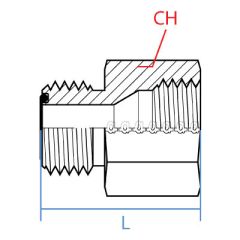 Male Orfs X Female Jis