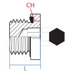 Brass Hex Skt Bspp Sealed Plug