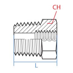 Brass Male Bspt X Female Bsp