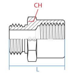 Brass M.Bspp X F.Bspp Bushing