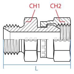 Male Metric X Female Bspp