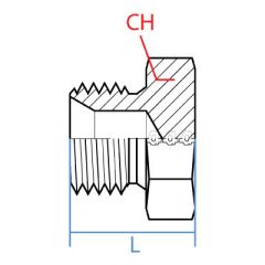 Bspp Hex Plug