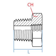 Male Bspt-Female Bspt Bushing