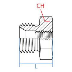 Male Bspp X Fem. Bspp Bushing