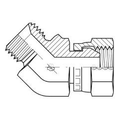 45* Male Bspp X Female Bspp