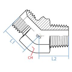 45* Elb. Male Bspp X Male Bspt
