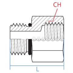 Male Orb X Female Bspp