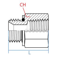Stainless 316 Mbspp X Fnpt