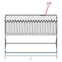 Stainless 316 Bspp Coupling