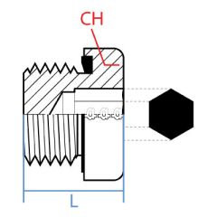 Bspp Countersunk Sealed Plug