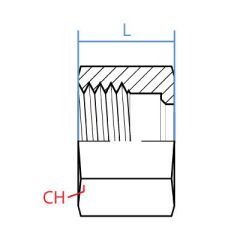Ss316-Din2353L Series Tube Nut
